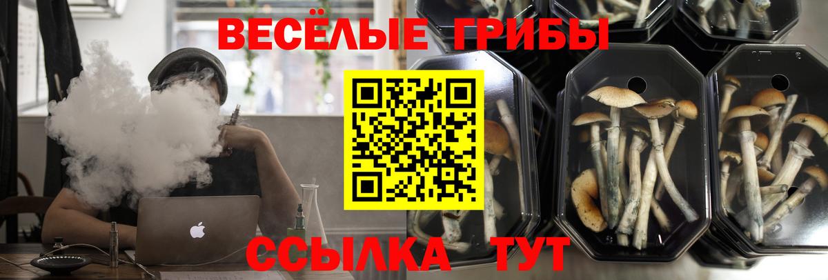 Галлюциногенные грибы ЛСД  где найти   Вход с VPN  Курганинск  Псилоцибиновые грибы Psilocybe 